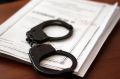 В Сыктывкаре полицейскими задержан подозреваемый в серии мошенничеств