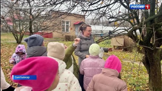Время заботы о наших пернатых друзьях