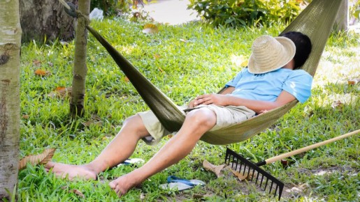 Как подготовить дачу к осени: 10 важных задач, которые нельзя забывать