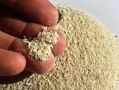 Секреты успешной осенней подкормки: как костная мука может преобразить ваш урожай