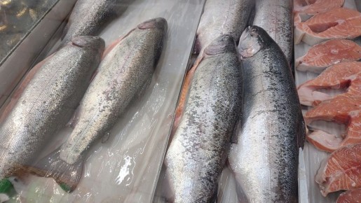 Прозрачность цен на рыбу: Новые меры в России