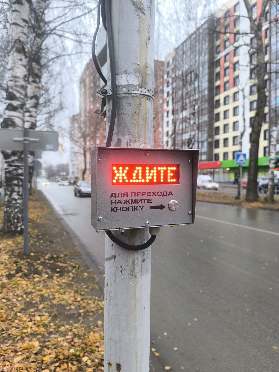 У Коми национальной гимназии в Сыктывкаре установлен светофор с вызывной кнопкой У Коми национальной гимназии в Сыктывкаре установлен светофор с вызывной кнопкой