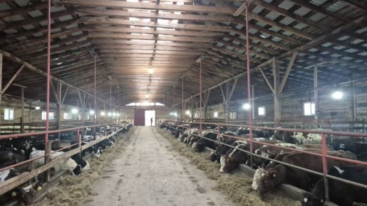 Корткеросский район посетил и.о министра сельского хозяйства и потребительского рынка Коми