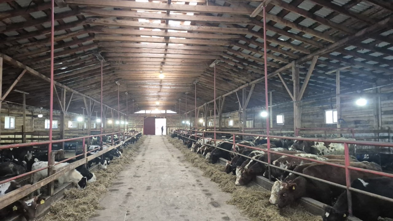 Корткеросский район посетил и.о министра сельского хозяйства и потребительского рынка Коми