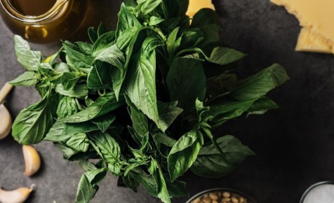 Как американский базилик помогает защитить мозг от старения