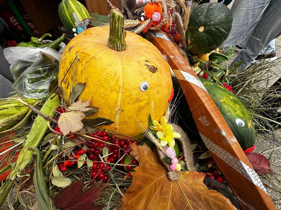 1 и 2 ноября на Стефановской площади состоится двухдневная выставка-продажа «Осенняя пора»