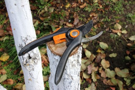 Как не допустить ошибок при зимней подготовке садового участка