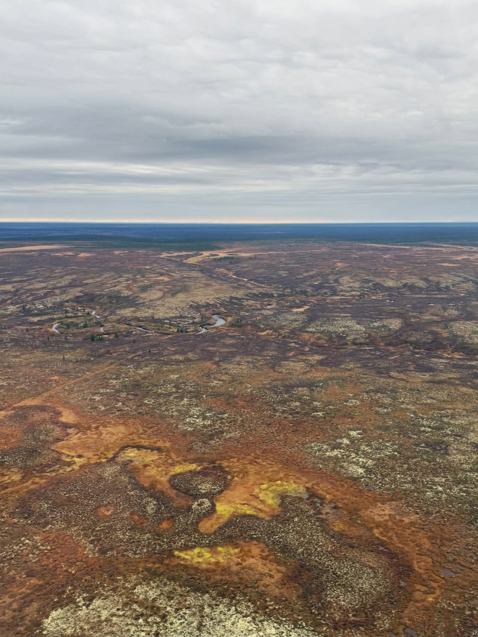 На страже природы!. Министр природных ресурсов и окружающей среды Коми Роман Полшведкин осмотрел природные территории комплексного заказника региона «Адак» На страже природы!. Министр природных ресурсов и окружающей среды Коми Роман Полшведкин осмотрел природные территории комплексного заказника региона «Адак»