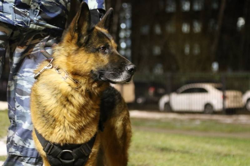 МВД по Республике Коми разъясняет о возможных последствиях заведомо ложного сообщения об акте терроризма