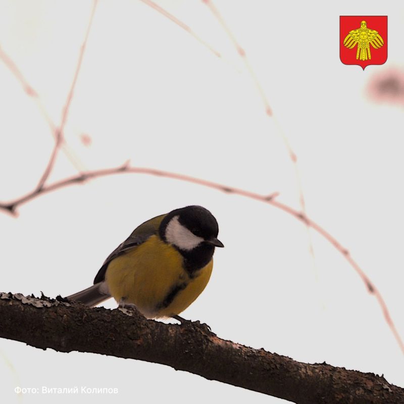 Вот и стартовала самая короткая рабочая неделя ноября Вот и стартовала самая короткая рабочая неделя ноября