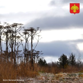 Вот и стартовала самая короткая рабочая неделя ноября