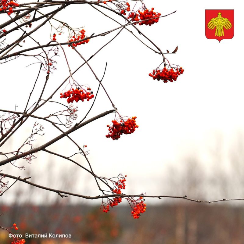 Вот и стартовала самая короткая рабочая неделя ноября Вот и стартовала самая короткая рабочая неделя ноября