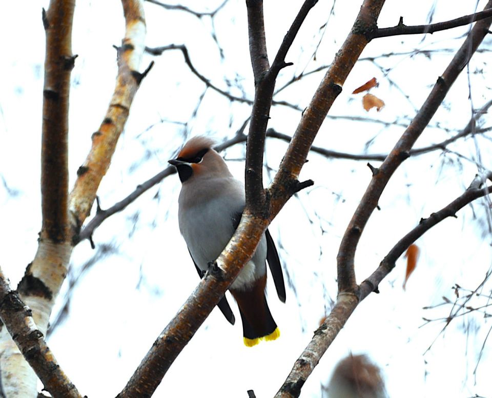 Вот и стартовала самая короткая рабочая неделя ноября Вот и стартовала самая короткая рабочая неделя ноября