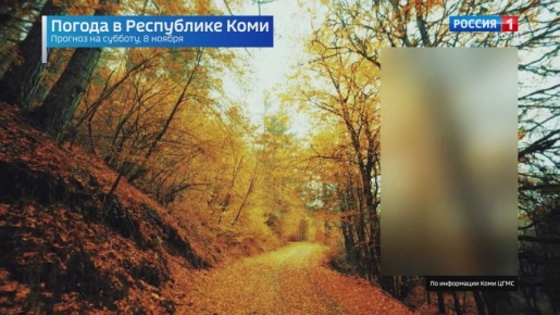 Прогноз погоды в Республике Коми на 8 ноября