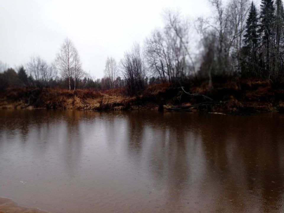 Максим Мартышин: Традиционные субботние рыболовные пейзажи ! Батарейка ,на рабочую неделю,заряжена на все 100%