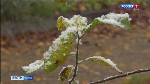 Что нас ждет в выходные дни?