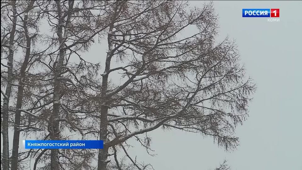 В Национальном музее откроется выставка "Солеваренный завод в селе Серёгово"