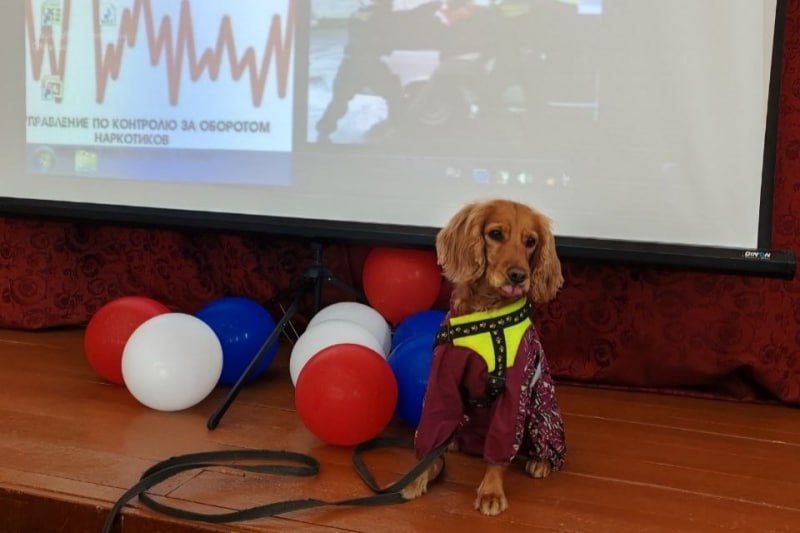 В Республике Коми подвели итоги второго этапа антинаркотической акции «Сообщи, где торгуют смертью» В Республике Коми подвели итоги второго этапа антинаркотической акции «Сообщи, где торгуют смертью»