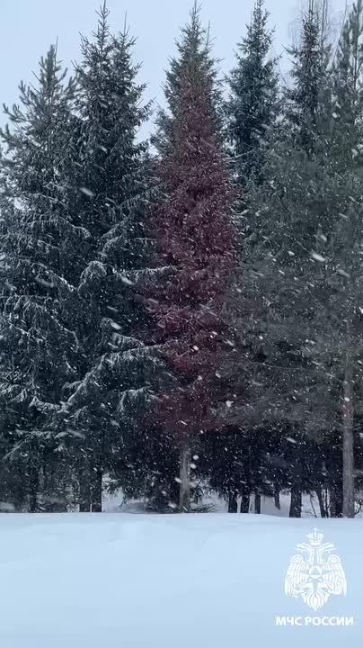  .        12     13    -  (, , -)    (6-10   12   ),  ...