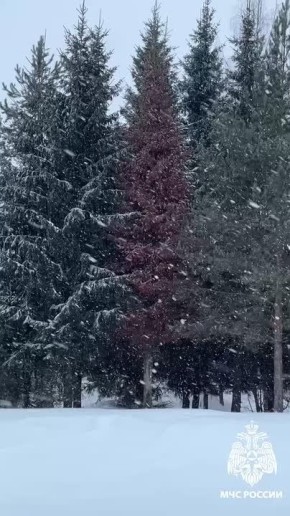  .        12     13    -  (, , -)    (6-10   12   ),  ...