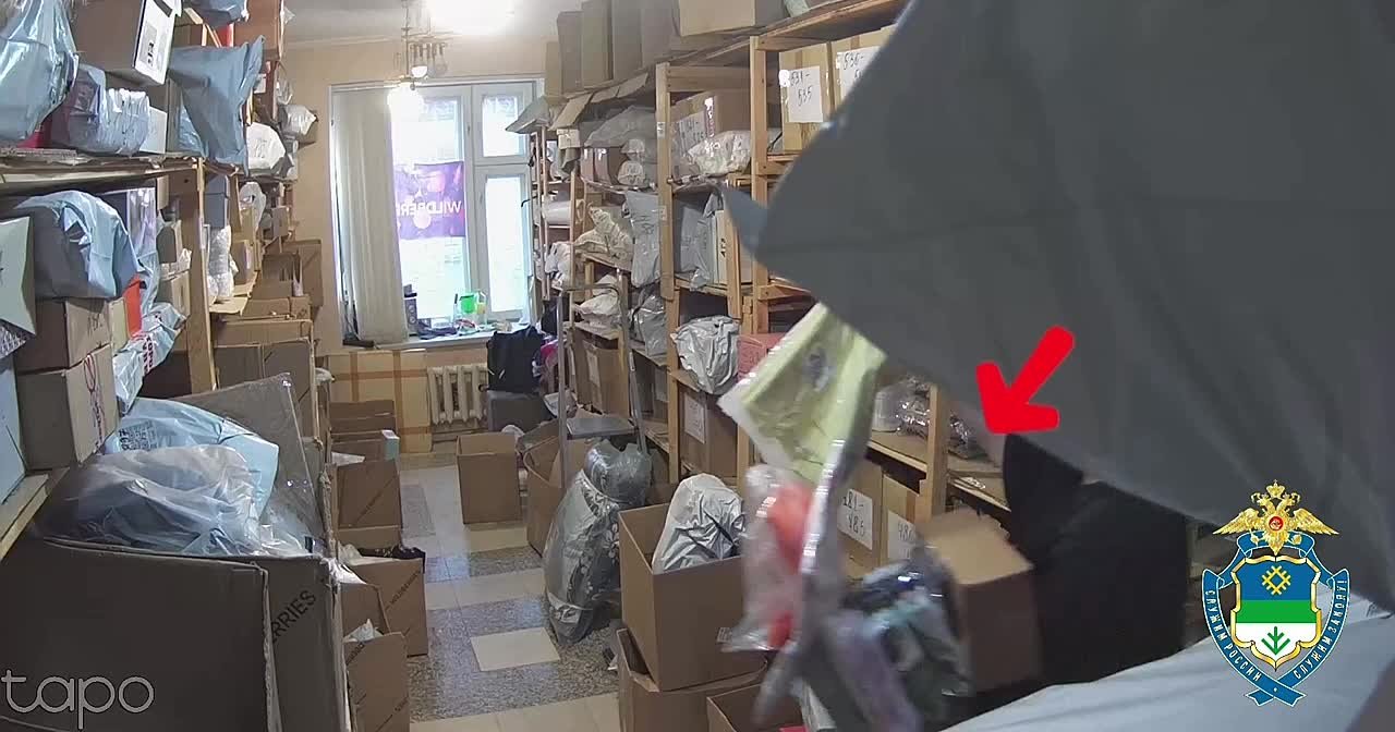 В Сыктывкаре возбуждено уголовное дело о краже дорогостоящего телефона сотрудницей пункта выдачи маркетплейса