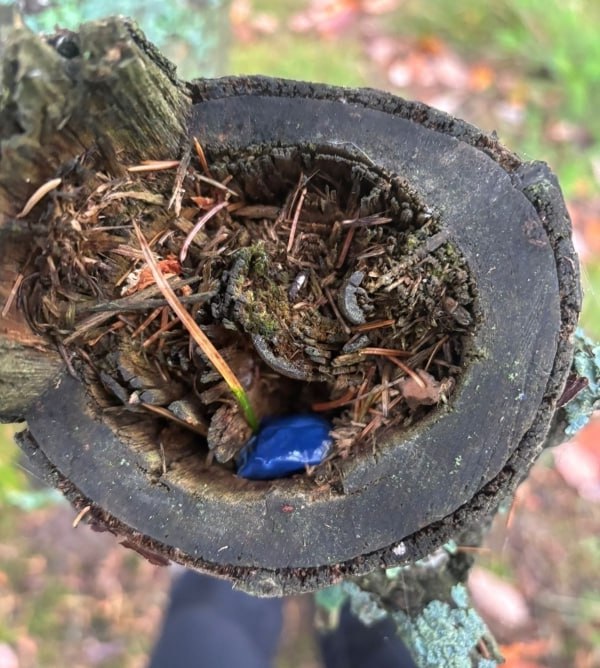 Житель Сыктывкара задержан за покушение на сбыт наркотиков в крупном размере Житель Сыктывкара задержан за покушение на сбыт наркотиков в крупном размере