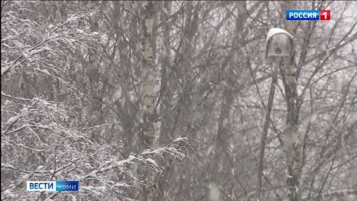 Предупреждение от синоптиков: во многих районах Коми ожидается усиление ветра