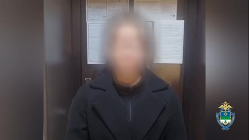 Полицейские Коми задержали жительницу Брянска по подозрению в хищении у сосногорской пенсионерки 400 тыс