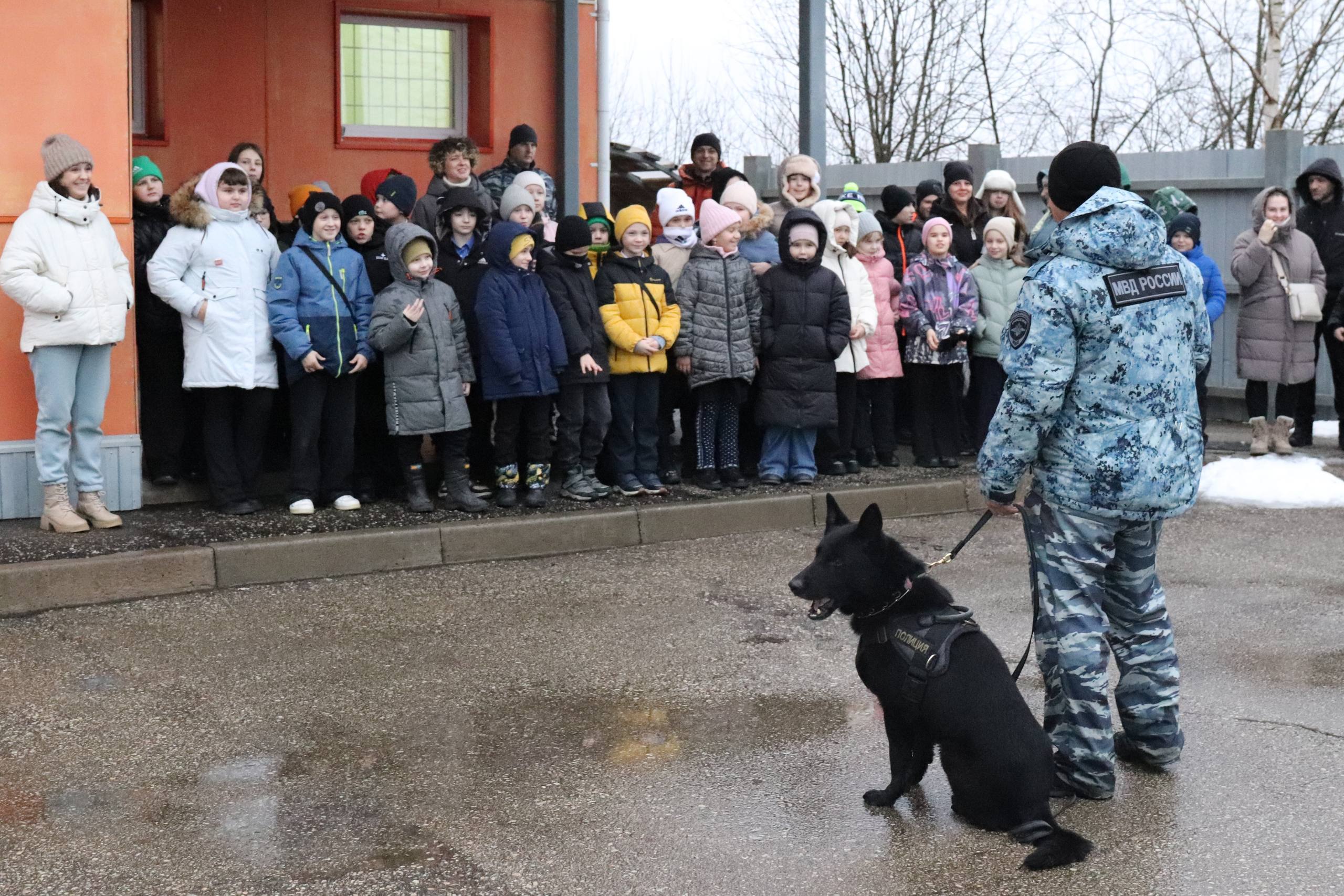 Сотрудники Центра кинологической службы МВД по Республике Коми провели экскурсию для сыктывкарских школьников Сотрудники Центра кинологической службы МВД по Республике Коми провели экскурсию для сыктывкарских школьников