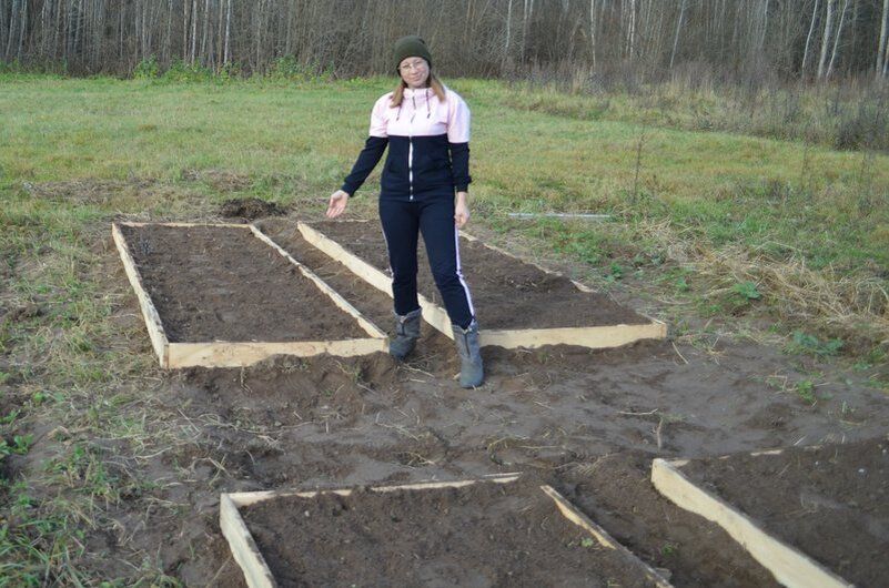 Как справиться с проросшим чесноком осенью