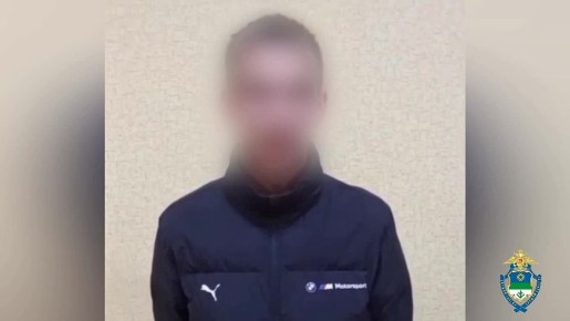 Полиция Коми задержала двух жителей Новосибирска за участие в обмане пенсионерки на 700 000 рублей