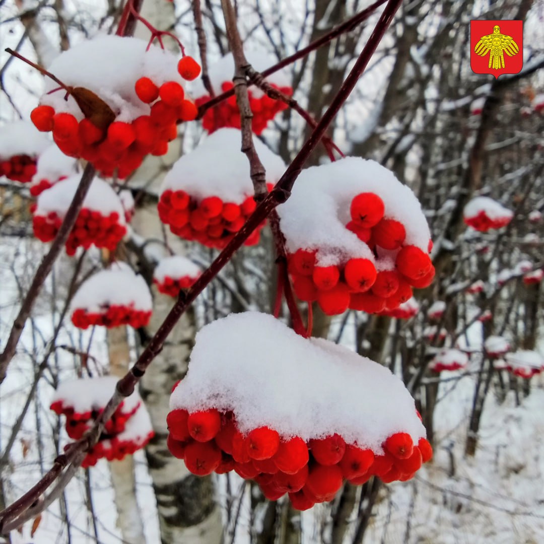 Поздняя осень в объективе Татьяны Штобе Поздняя осень в объективе Татьяны Штобе