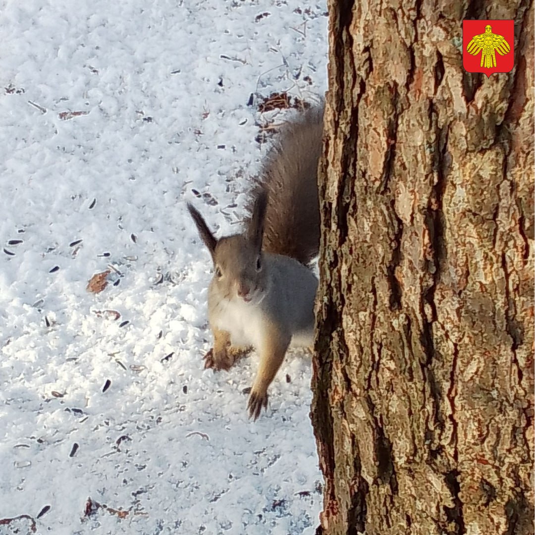 Поздняя осень в объективе Татьяны Штобе Поздняя осень в объективе Татьяны Штобе