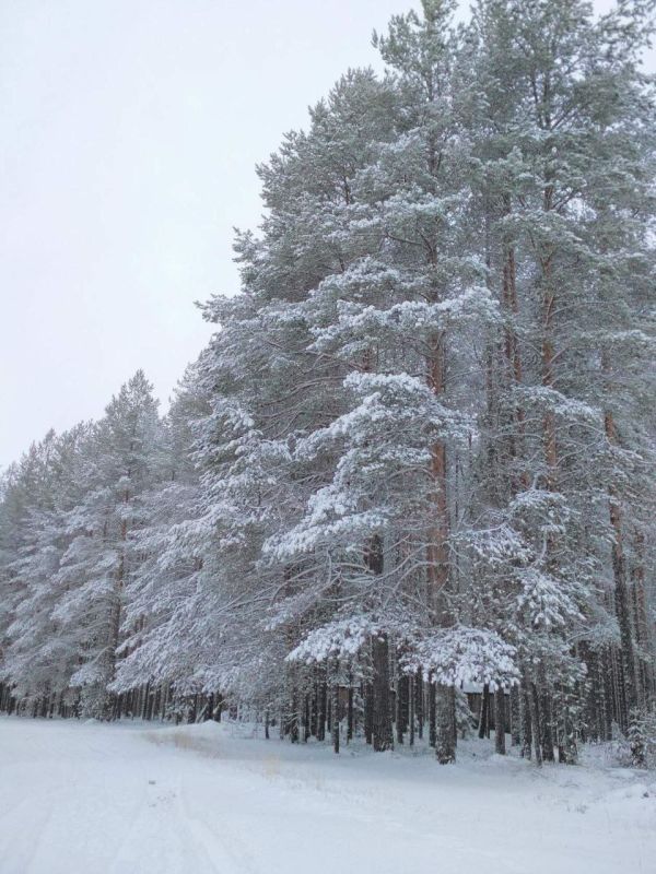 Максим Мартышин: Друзья, спасибо что делитесь зимним настроением Сыктывкара и пригородов!