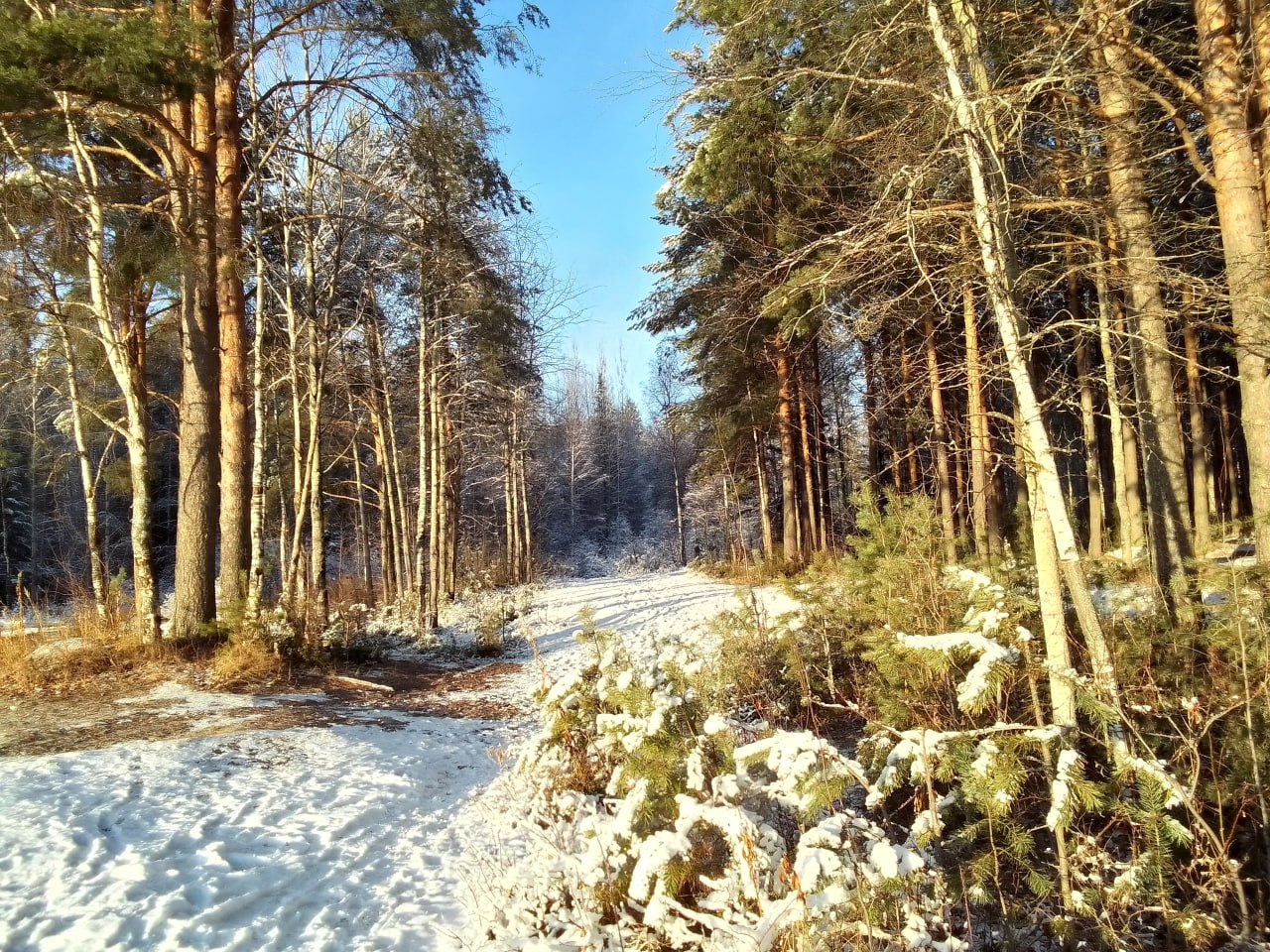 В Коми на следующей неделе ожидается похолодание