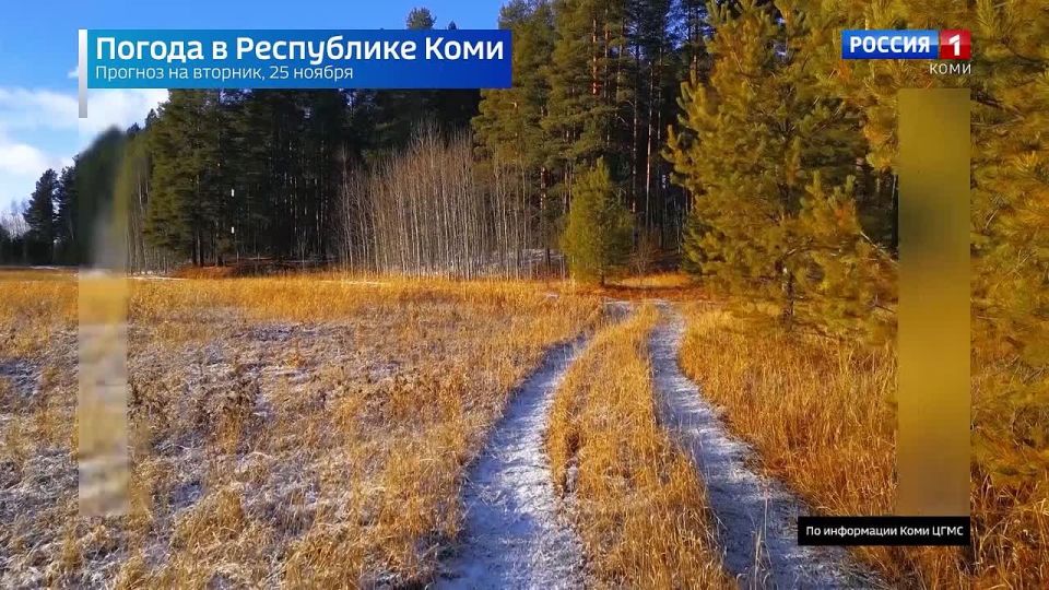 Прогноз погоды в Республике Коми на 25 ноября