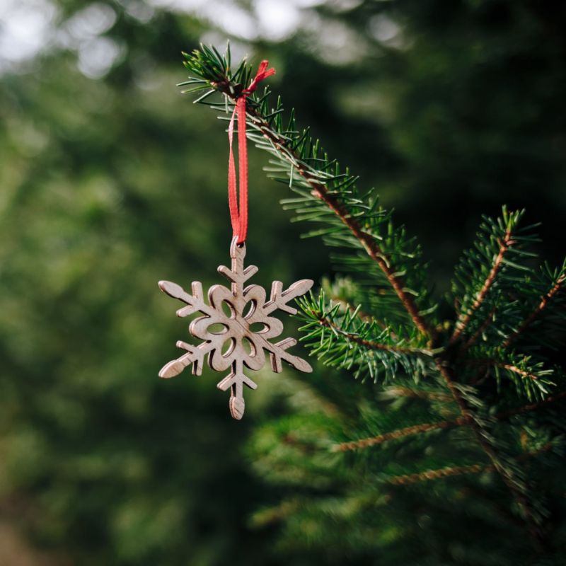В Коми утвердили цены на новогодние ели