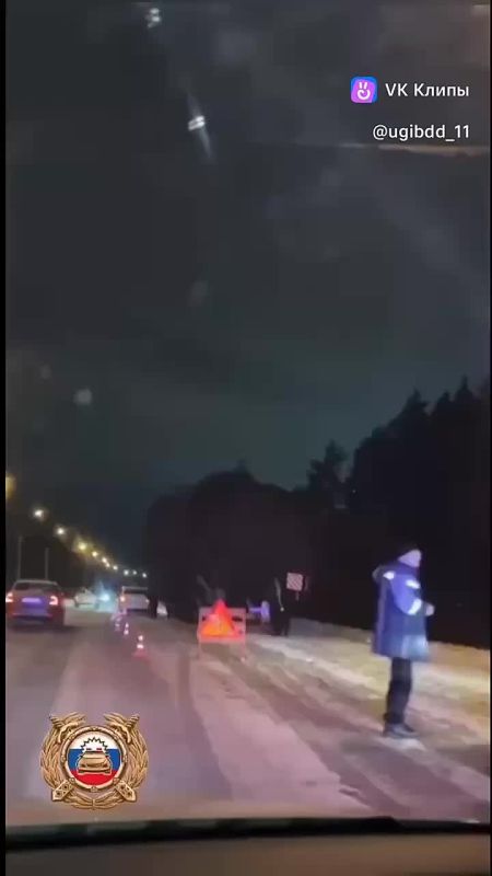 В столицу Коми доставили главную новогоднюю ель