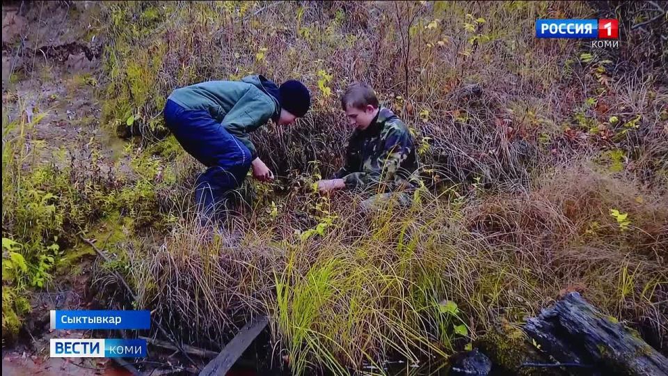 Во "Дворце творчества Детей и учащейся молодежи" Сыктывкара показывали игровые, короткометражные кинофильмы