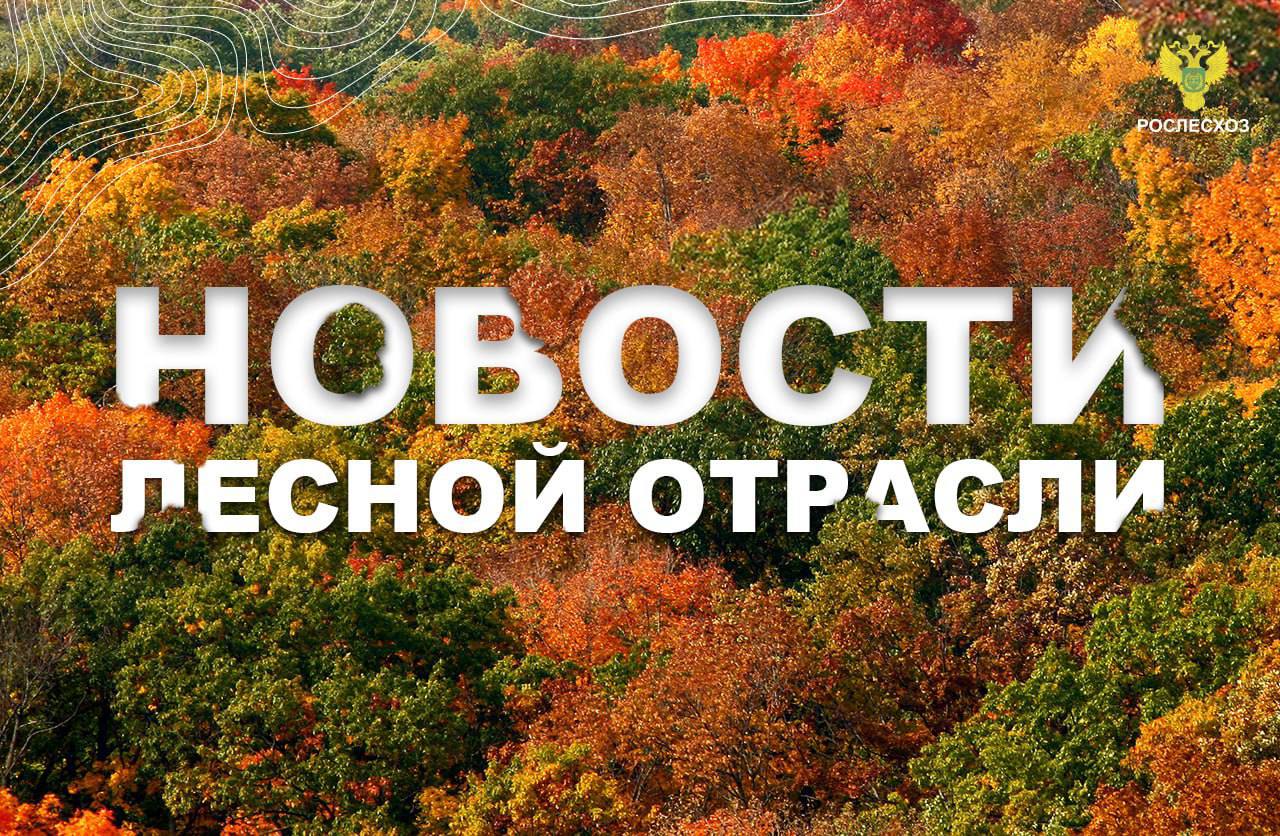 ТАСС: Рослесхоз готов за 3-5 лет восстановить леса Донбасса и Новороссии
