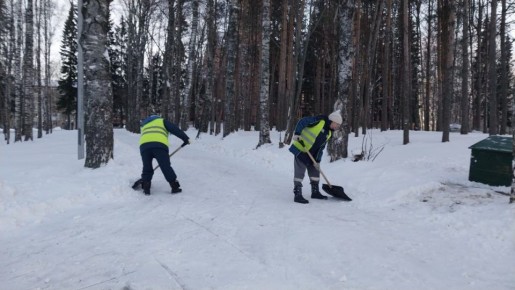 Максим Мартышин: Друзья, делюсь с вами отчётом о работе наших коммунальных служб за сутки
