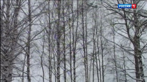 Росавиация утвердила на 2026 год семь субсидируемых маршрутов из Коми