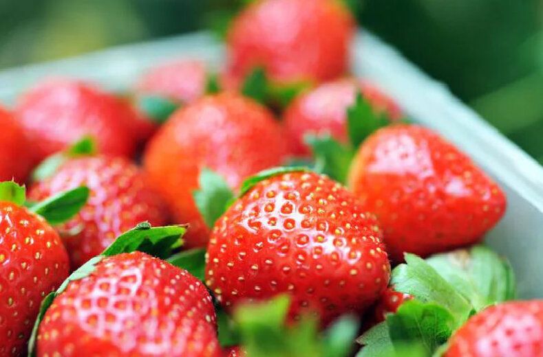 Как выбрать идеальную клубнику: советы для гурманов