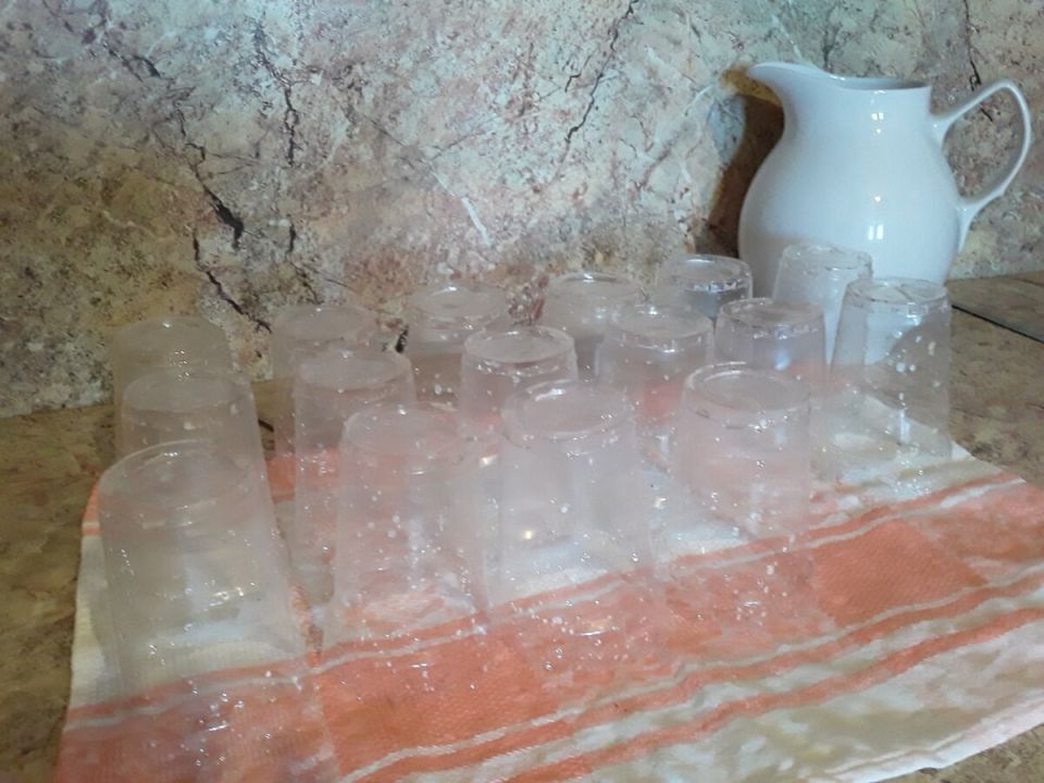 Как подготовиться к посевному сезону: 10 незаменимых инструментов для успешного старта