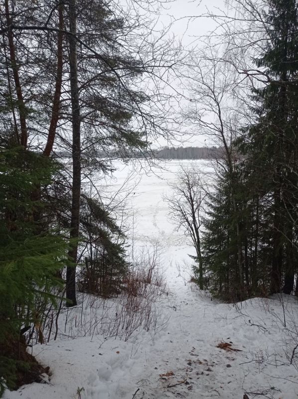 Максим Мартышин: Друзья! Пришло время выходных, а значит по традиции присылайте в комментариях фото красивых видов Сыктывкара и окрестностей