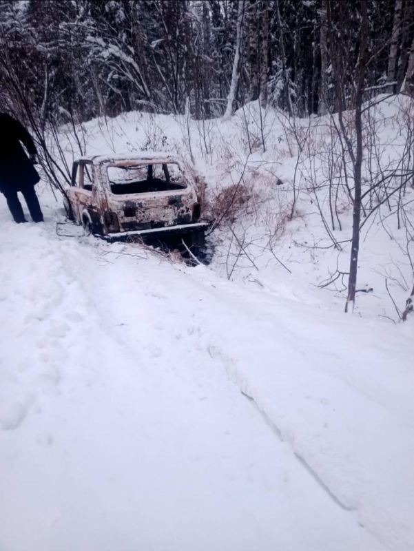 Оперативные сведения Управления Госавтоинспекции МВД по Республике Коми за 29 ноября 2025 года