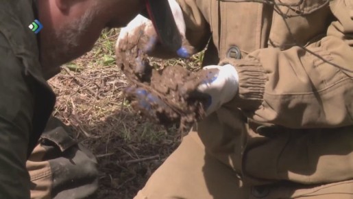 Анонс документального фильма Эдуарда Бушуева об экспедиции поискового отряда следственного управления «Хранители»