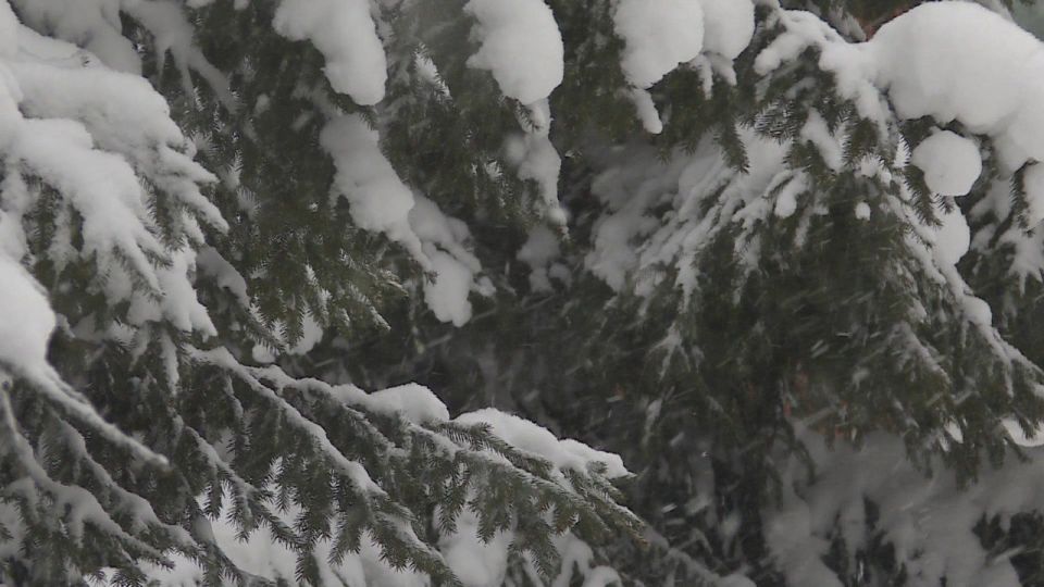  .      18:00 3   6:00 4   -  (-, )    (6     12   )