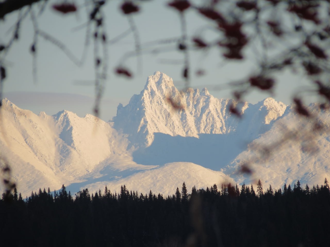 Следующая неделя в Коми будет снежной и ветреной