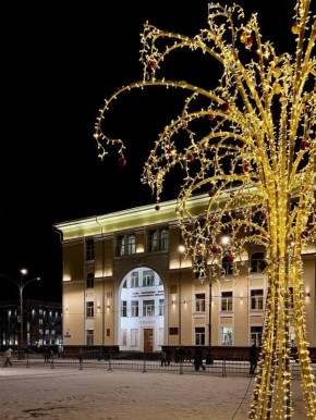 Максим Мартышин: Спасибо подписчику за прекрасные атмосферные фото предновогоднего уюта!